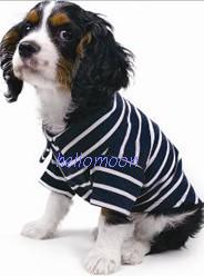 Classic POLO shirt 
