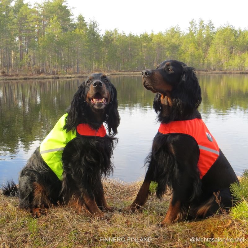 FINNERO UKKO Reflective Attention Vest
